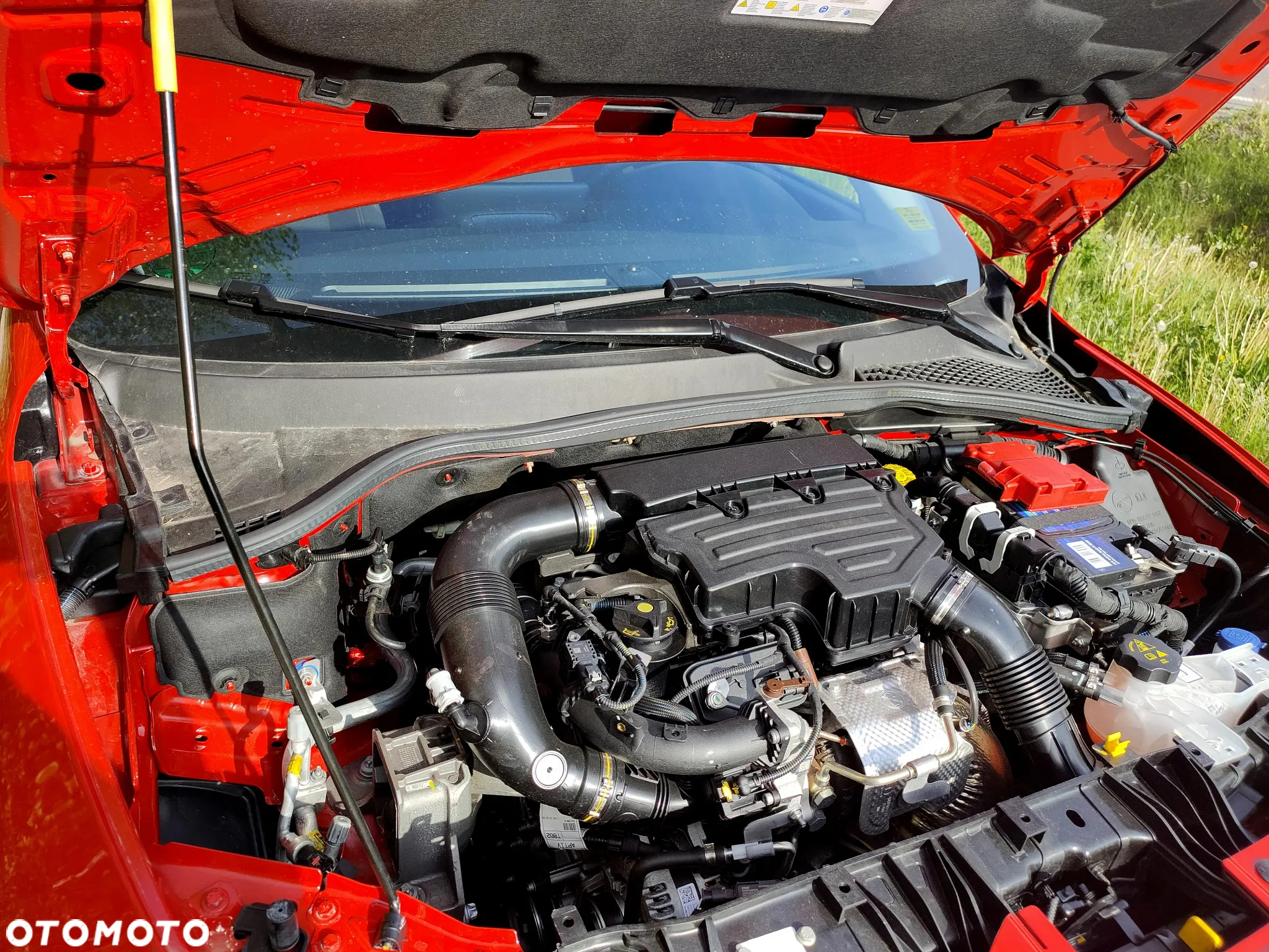 Fiat Tipo 1.0 T3 - 8
