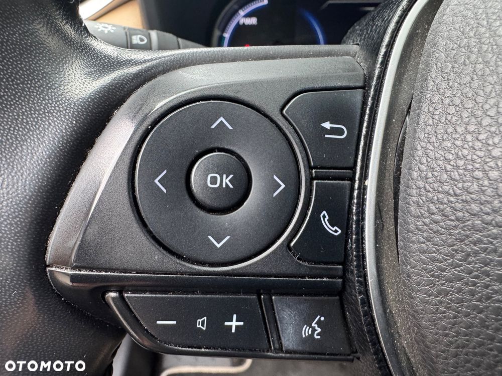 Toyota RAV4 2.5 Hybrid Executive 4x4 - 23