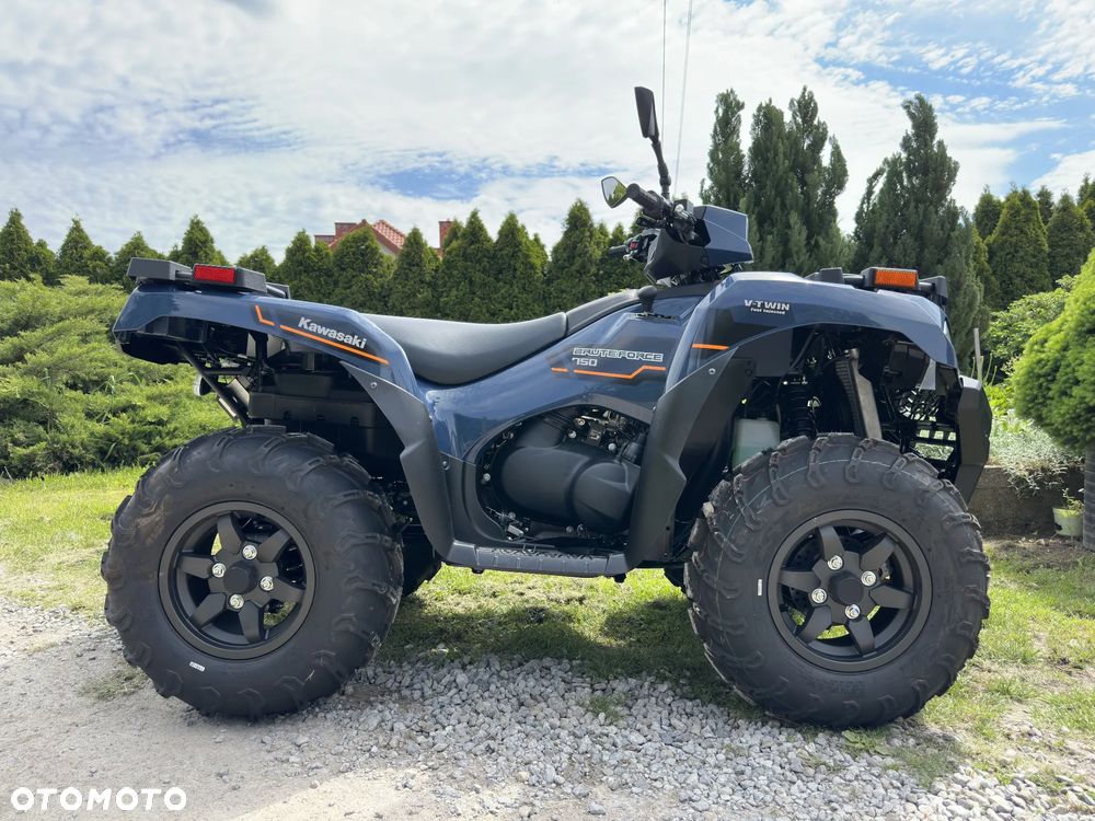Kawasaki Brute Force - 4