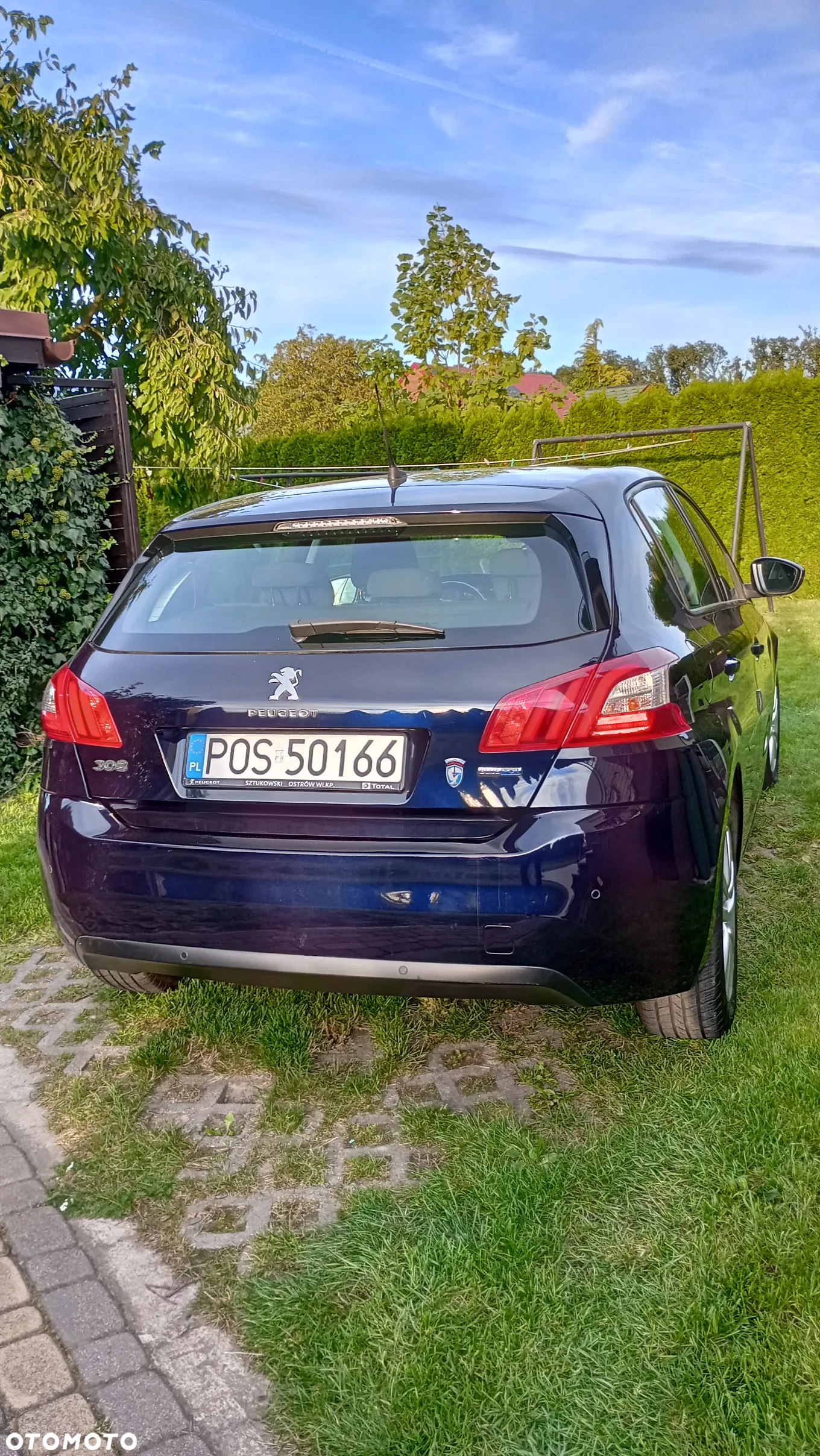 Peugeot 308 BlueHDi FAP 100 Stop&Start Access - 3
