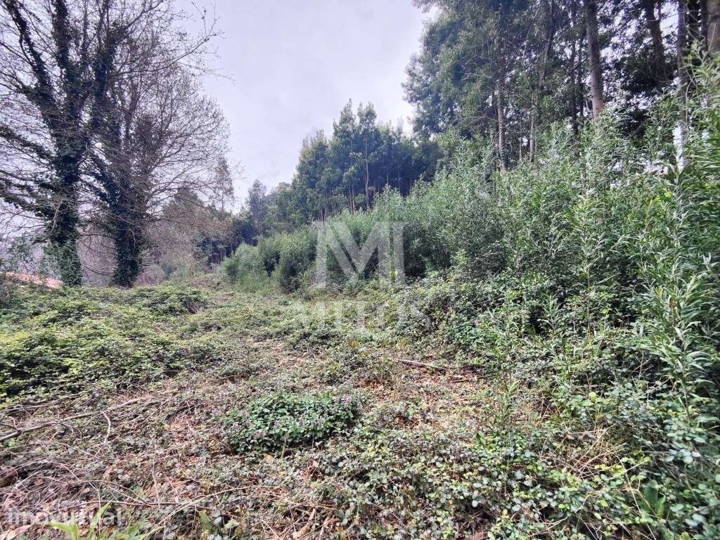 Terreno destinado a construção para venda em Venade - Caminha - Grande imagem: 4/6