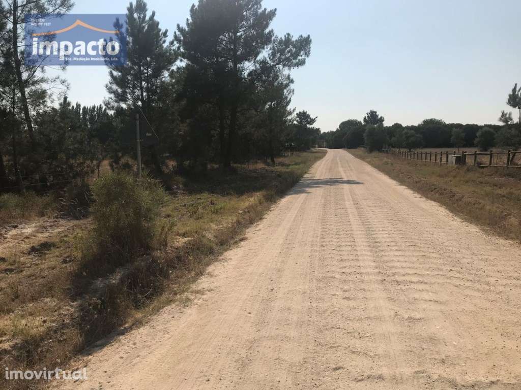 Terreno na Herdade do Zambujeiro - Grande imagem: 4/10