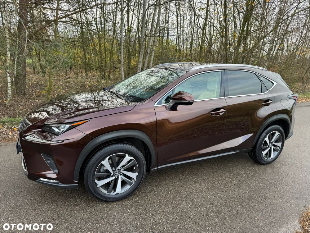 Lexus NX 300h F Impression AWD - 3