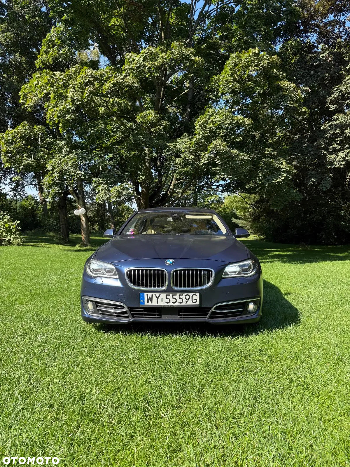 BMW Seria 5 528i xDrive Luxury Line - 3