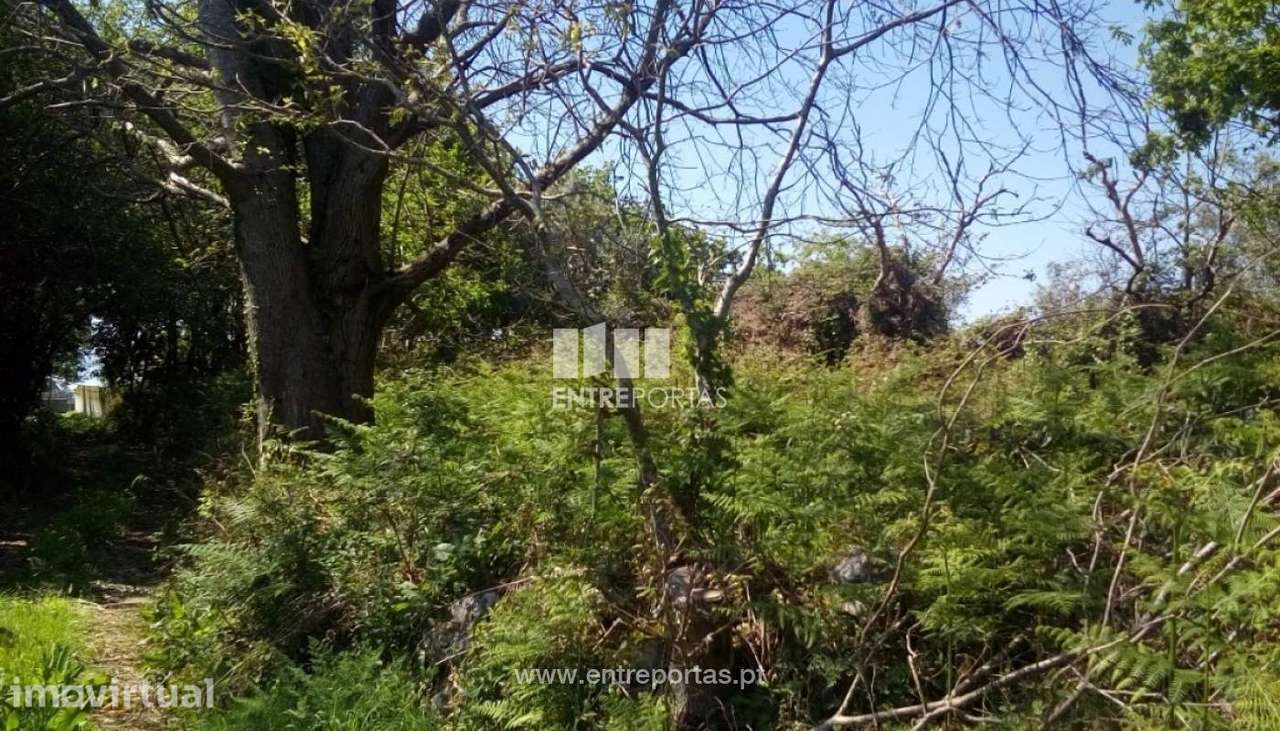 Venda de Terreno para construção, Afife, Viana do Castelo - Grande imagem: 2/30