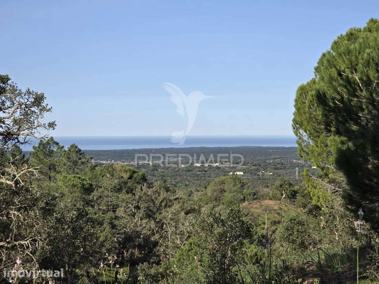 Terreno de  12,65 Hectares - Zona de Vale Figueira/Melides - Grândola - Grande imagem: 2/39