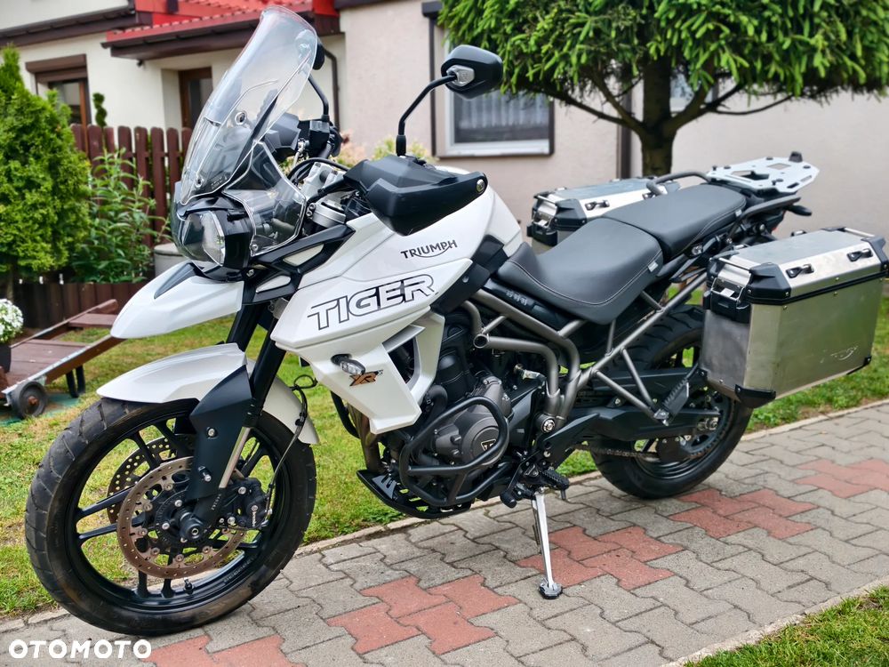 Triumph Tiger - 19