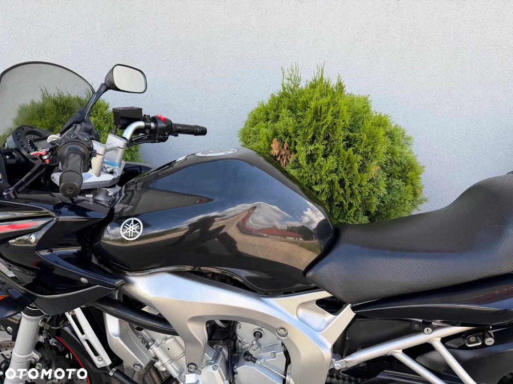 Yamaha FZ - 31