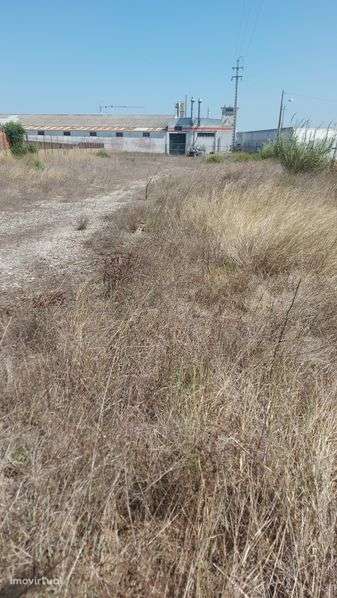 Terreno/Estaleiro Vedado - Silveira - 2.280m2 - Grande imagem: 3/4