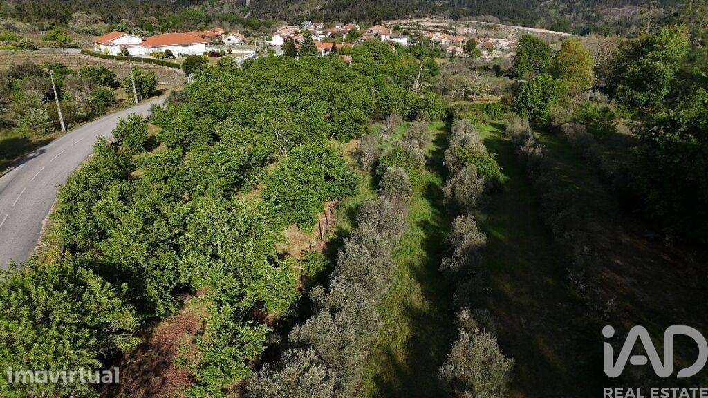 Quinta T5 em Sezures de 427 m2 - Grande imagem: 5/37