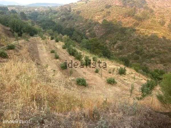 Terreno à venda , Cm1285, 41 °23'19.4"n 7°26'34.5"w - Grande imagem: 2/5