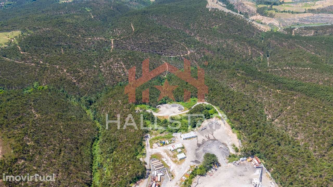 Terreno Florestal / Eucaliptal / 10 Hectares / Trofa - Grande imagem: 3/23