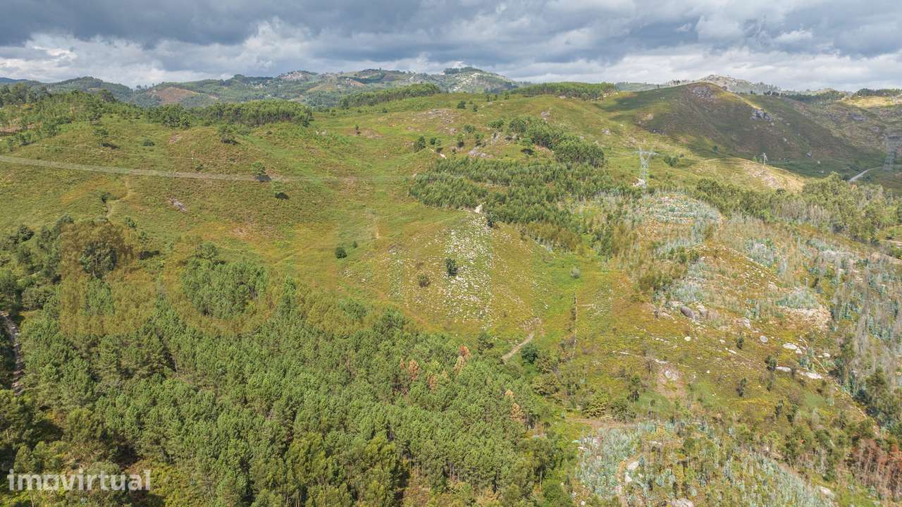 Terreno com 18.500m² em Brunhais - Grande imagem: 2/13
