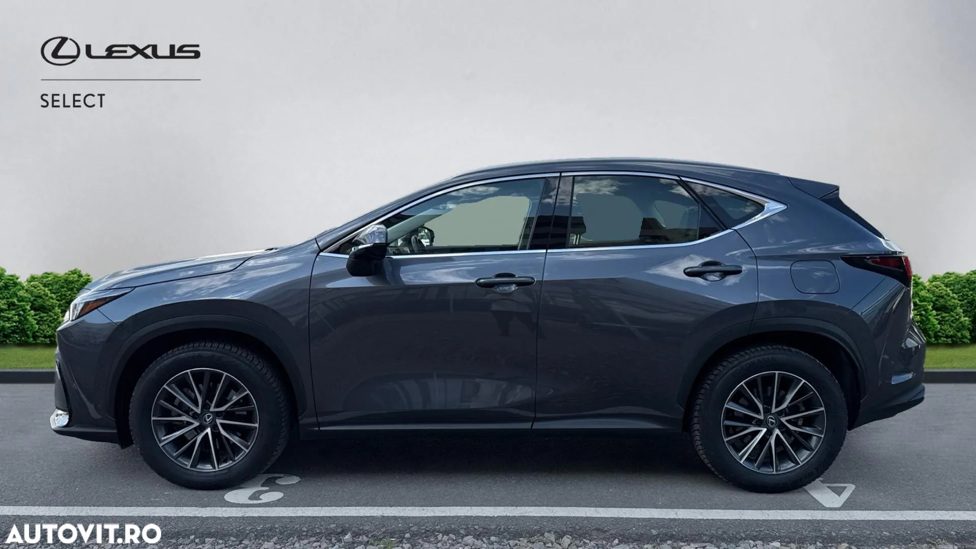 Lexus Seria NX 350h AWD CVT HEV Business - 5