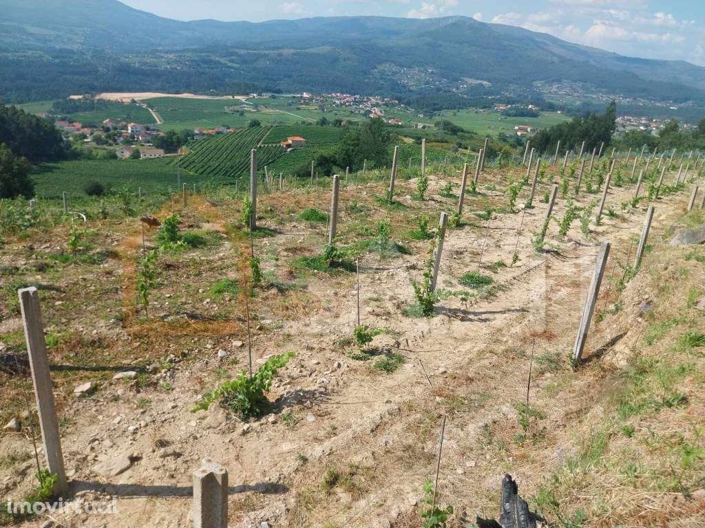 Terreno Rustico - Grande imagem: 4/11