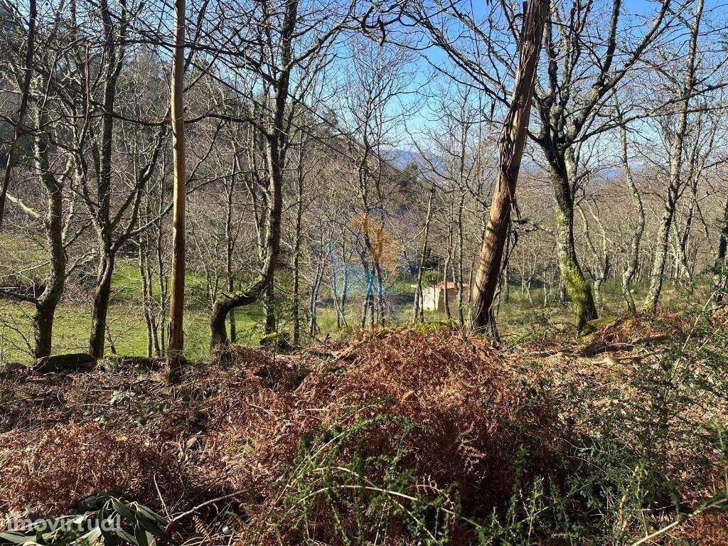 Venda Terreno - Grande imagem: 2/13