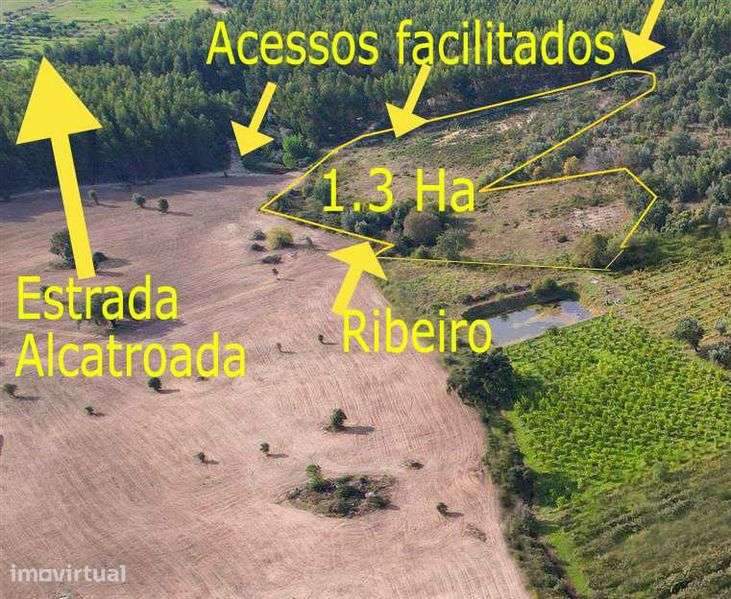 Terreno de 1,3 Ha com Ribeiro e Viabilidade de Construção - Grande imagem: 4/11