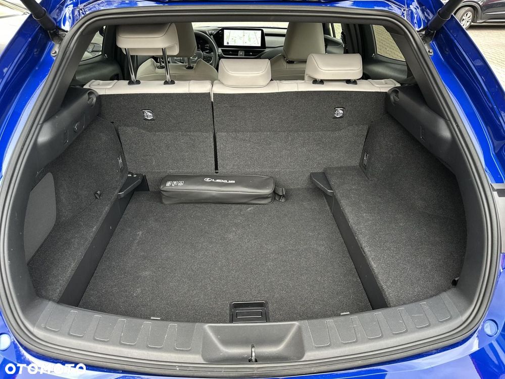 Lexus UX 300h F Sport Design - 21