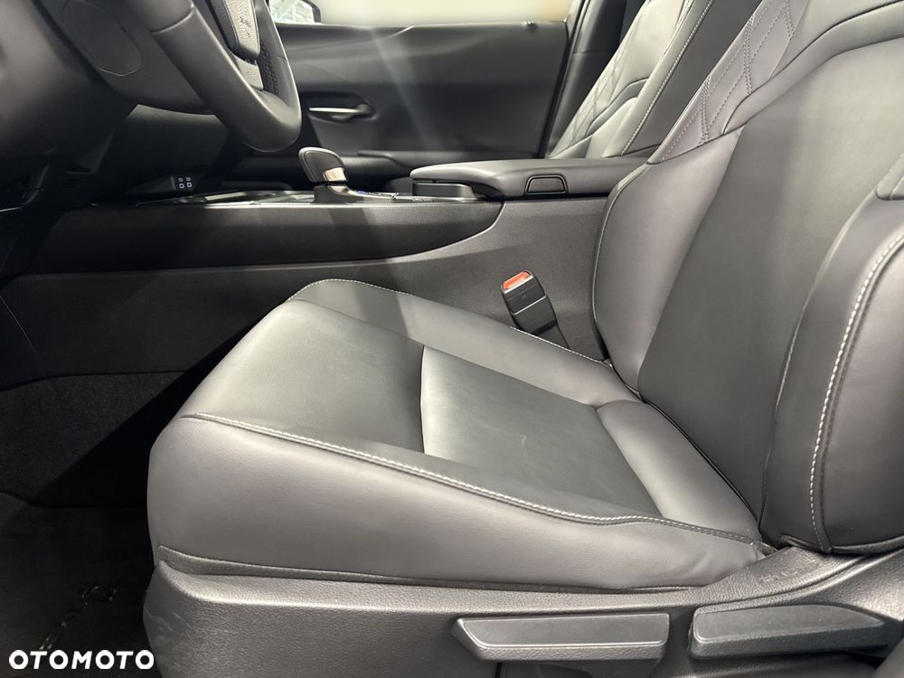 Lexus UX 300h F Sport Design AWD - 15