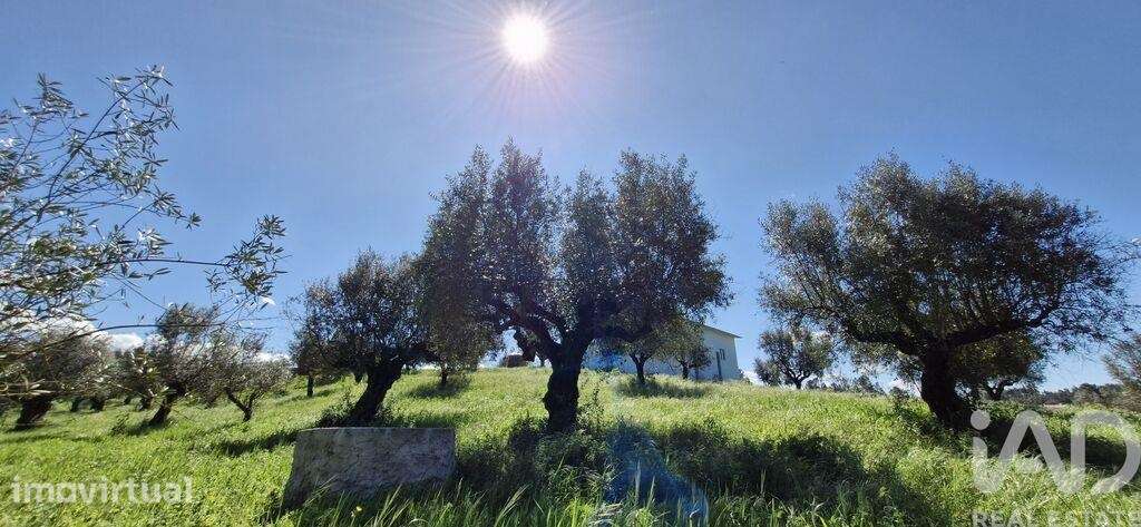 Terreno em Fráguas de 165,00 m2 - Grande imagem: 5/30