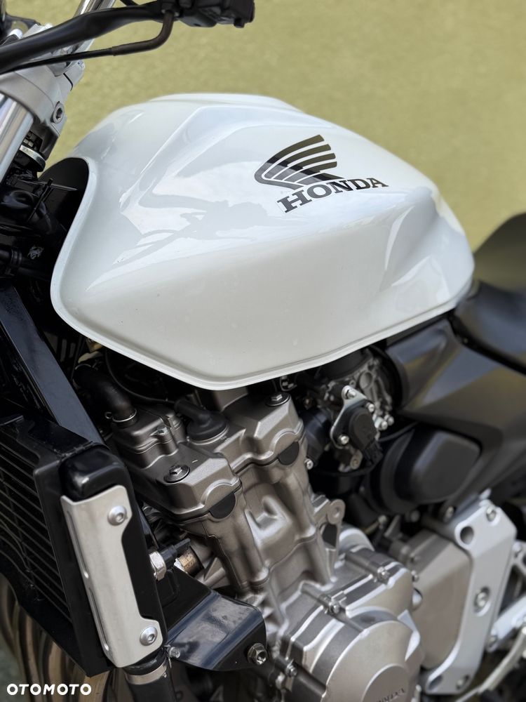 Honda Hornet - 30