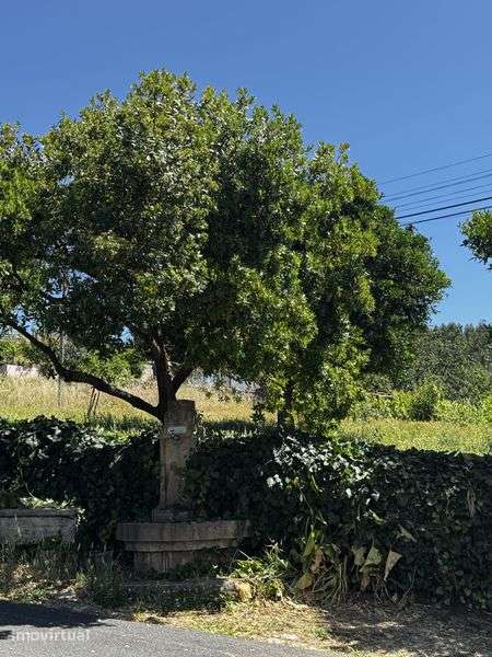 Casa em Xisto com Terreno – pohled 5