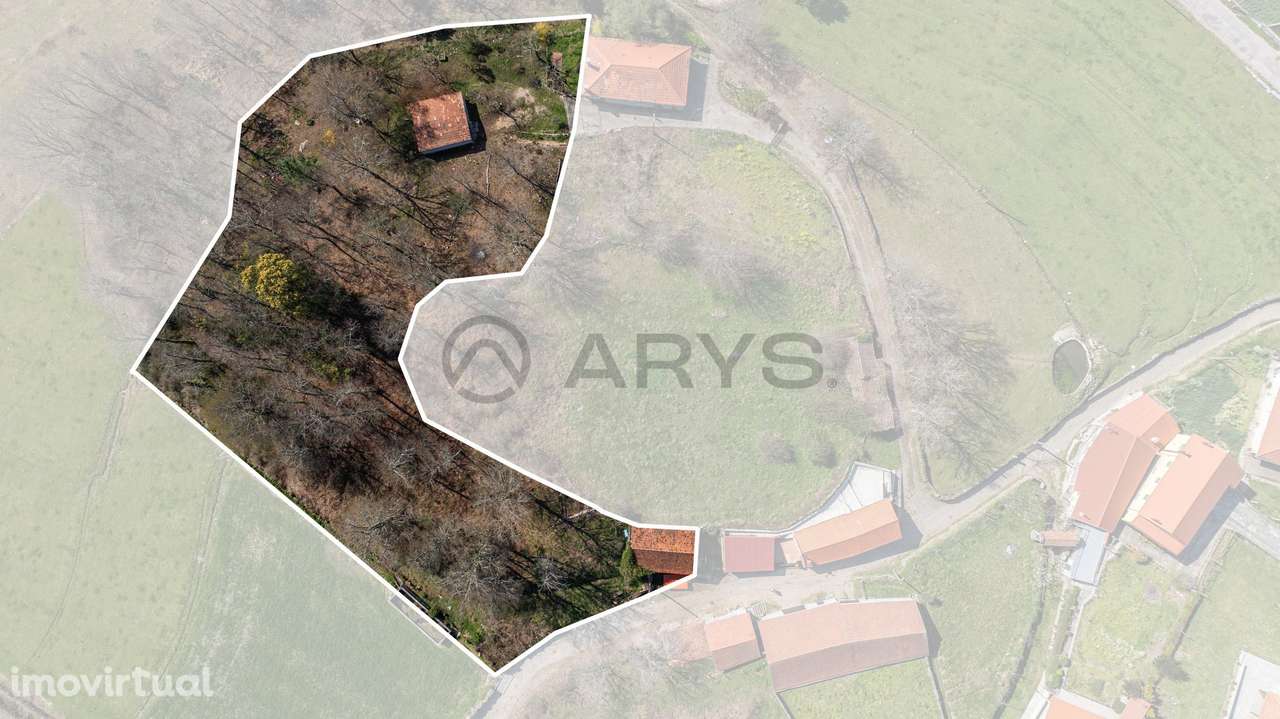 Terreno para construção – Currais, Reigoso, Montalegre - Grande imagem: 2/18
