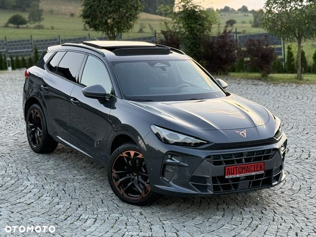Cupra Terramar 2.0 TSI 4Drive DSG VZ Tribe Edition - 32