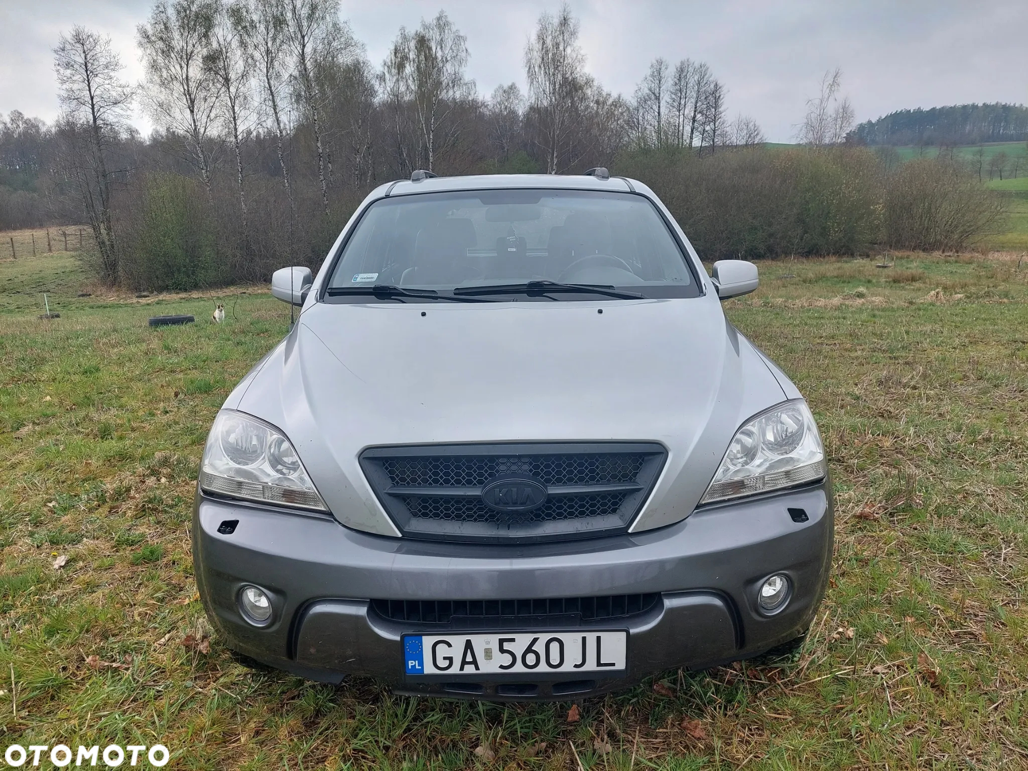 Kia Sorento - 25