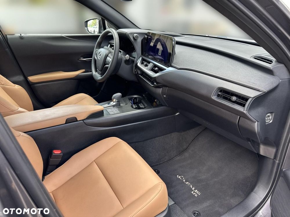 Lexus UX 300h F Sport Design - 13