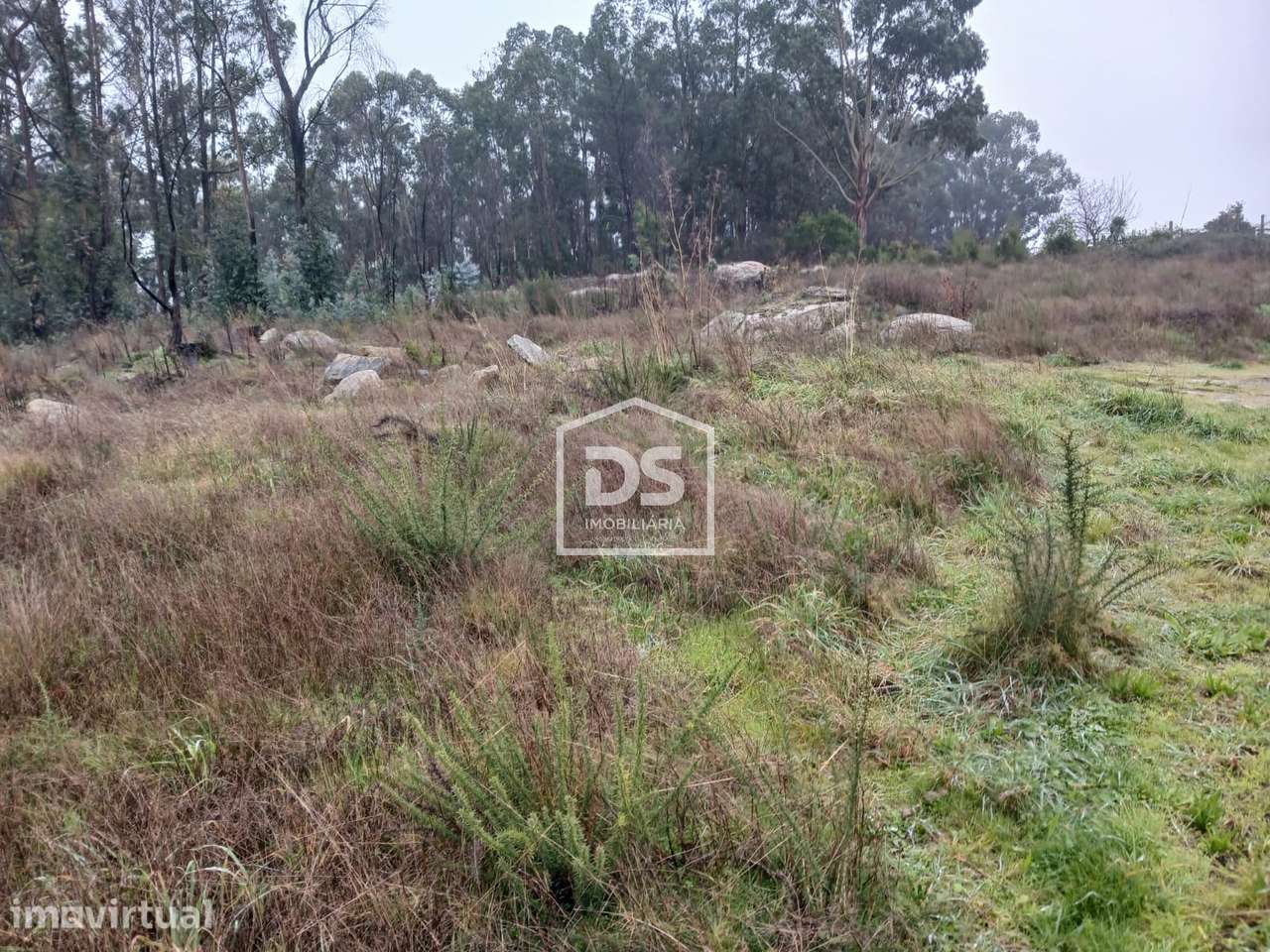 Terreno  Venda em Duas Igrejas,Penafiel - Grande imagem: 5/12