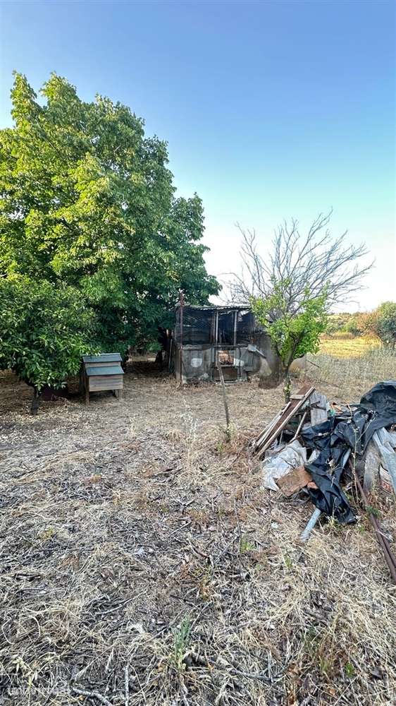 Terreno Rústico com 1,1 Hectares na Vidigueira - Grande imagem: 3/13