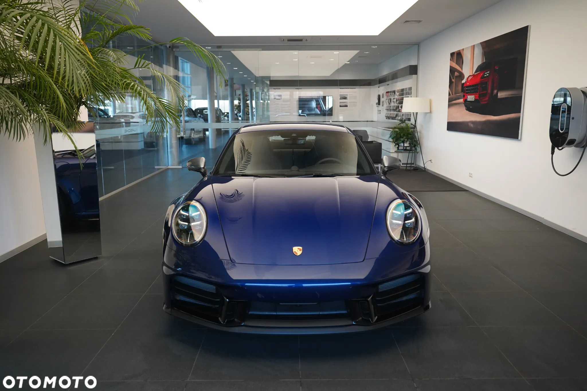 Porsche 911 Carrera T - 6