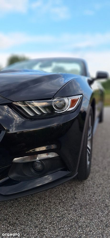Ford Mustang Cabrio 2.3 Eco Boost - 15