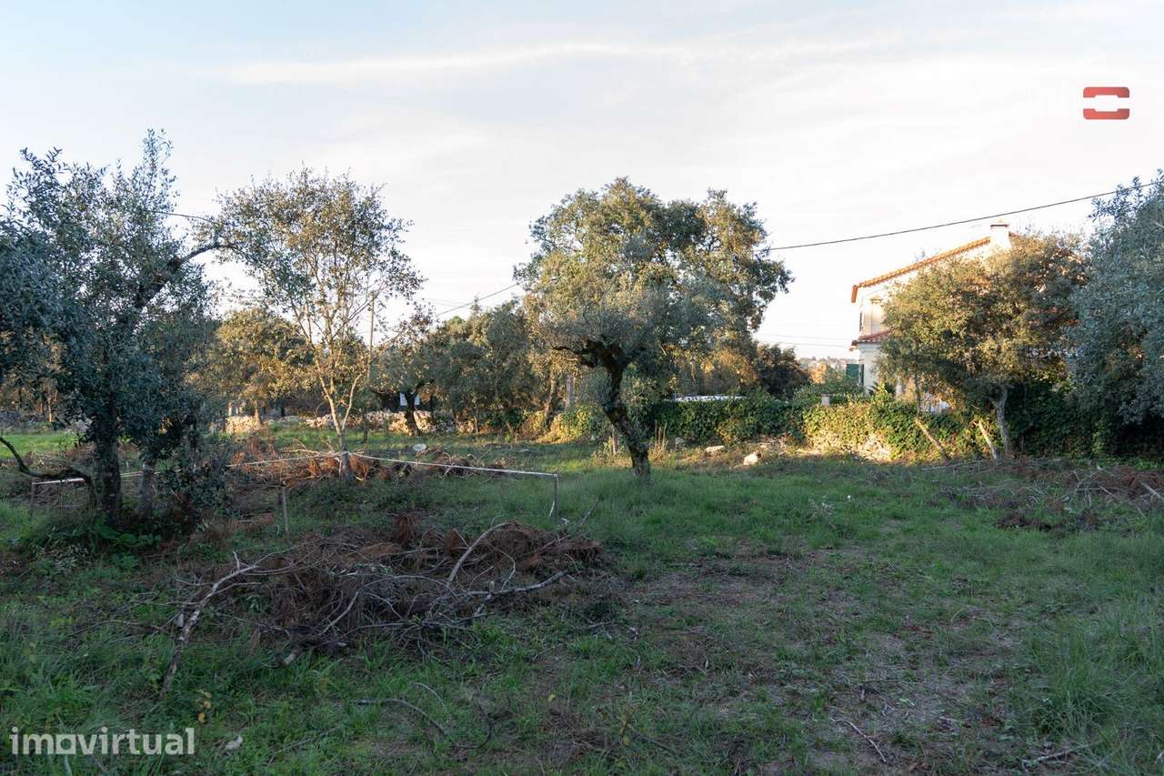 Terreno para construção com 1679 m2 a 4 kms de Fátima - Grande imagem: 3/12