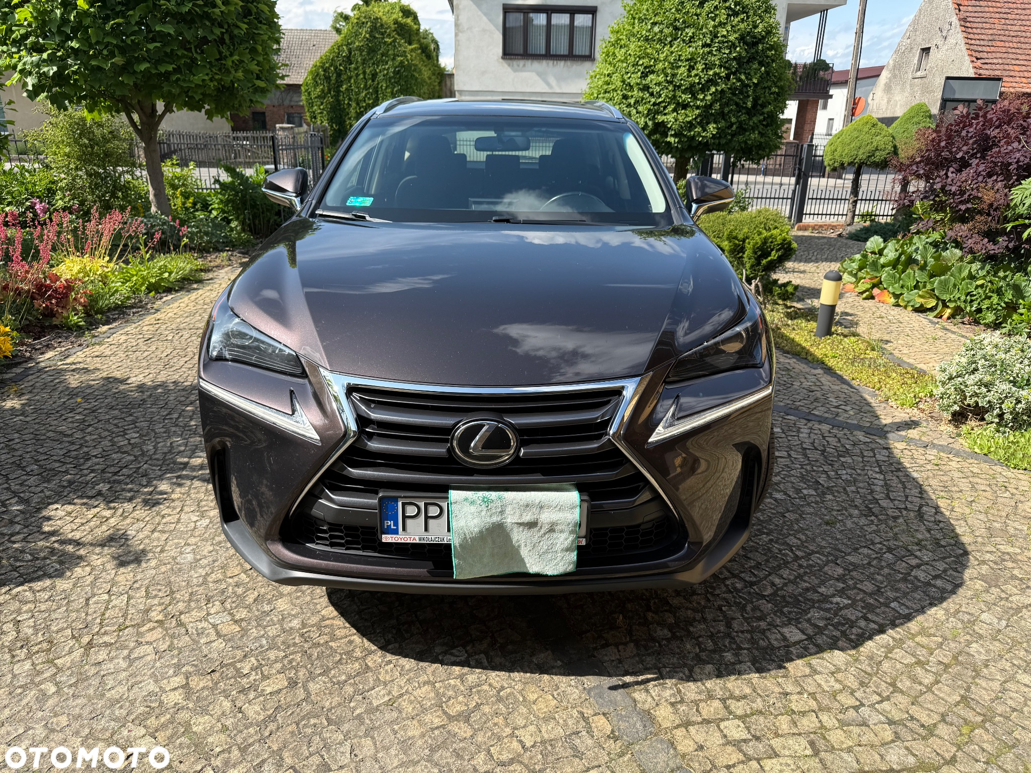 Lexus NX - 9