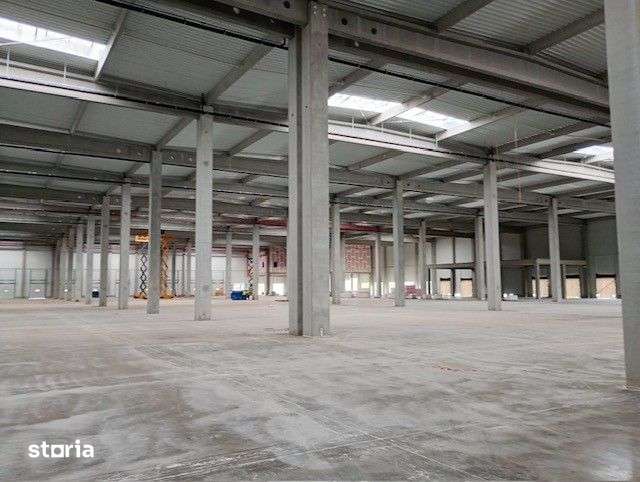 Inchiriere depozit Clasa A - Arad - spatii intre 2.000mp si 12.000mp - Imagine principală: 5/8