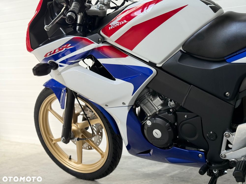 Honda CBR - 31