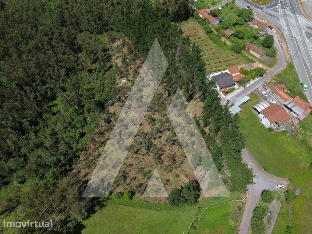 Terreno em Serém de Cima - Macinhata do Vouga - Grande imagem: 4/15