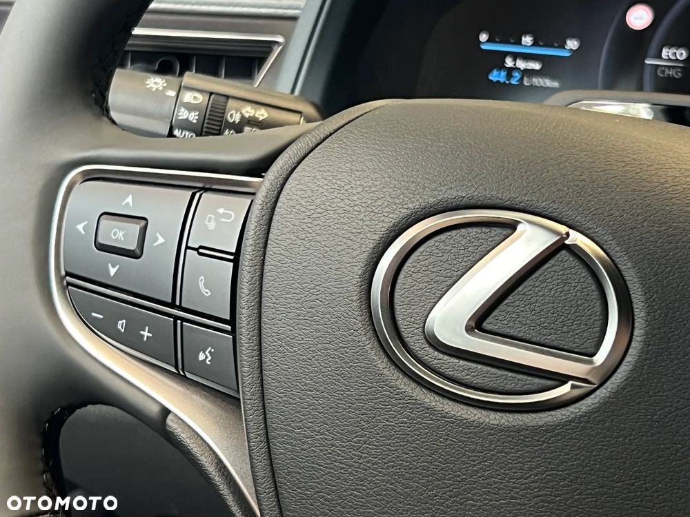 Lexus UX 300h F Sport Design - 15