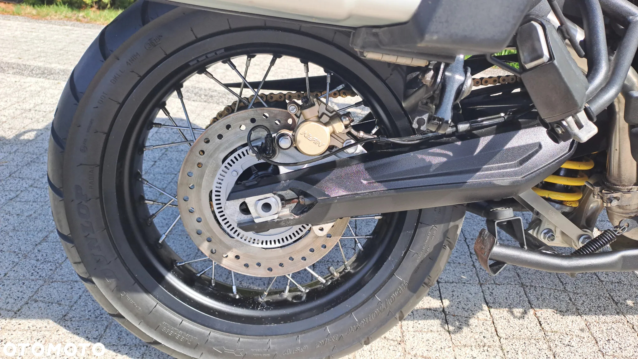 Triumph Tiger - 19