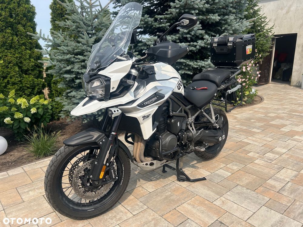 Triumph Tiger - 1
