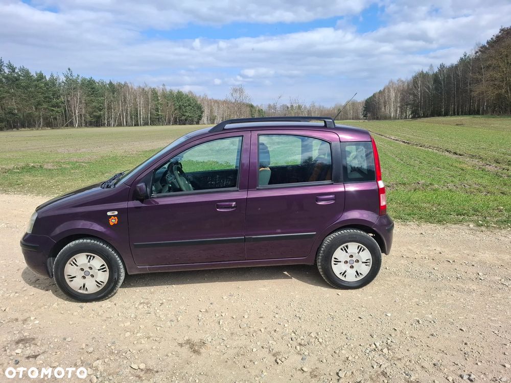 Fiat Panda 1.2 Active - 7