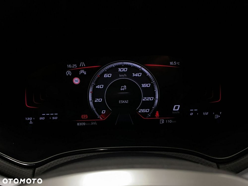 Seat Ibiza - 24