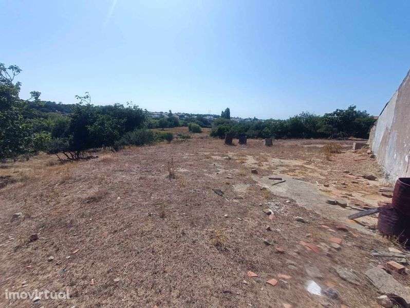 Terreno com 2 casas em Ruína - Grande imagem: 4/6