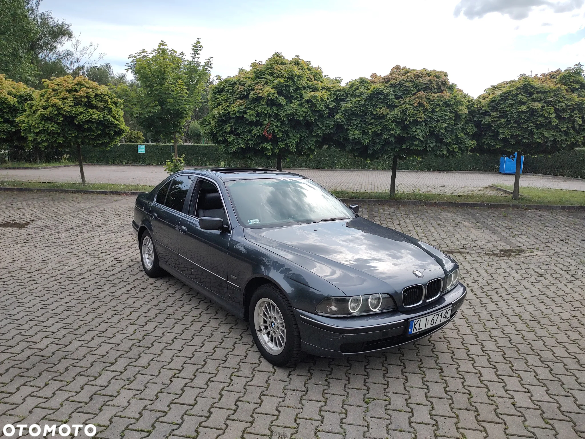 BMW Seria 5 520i - 7