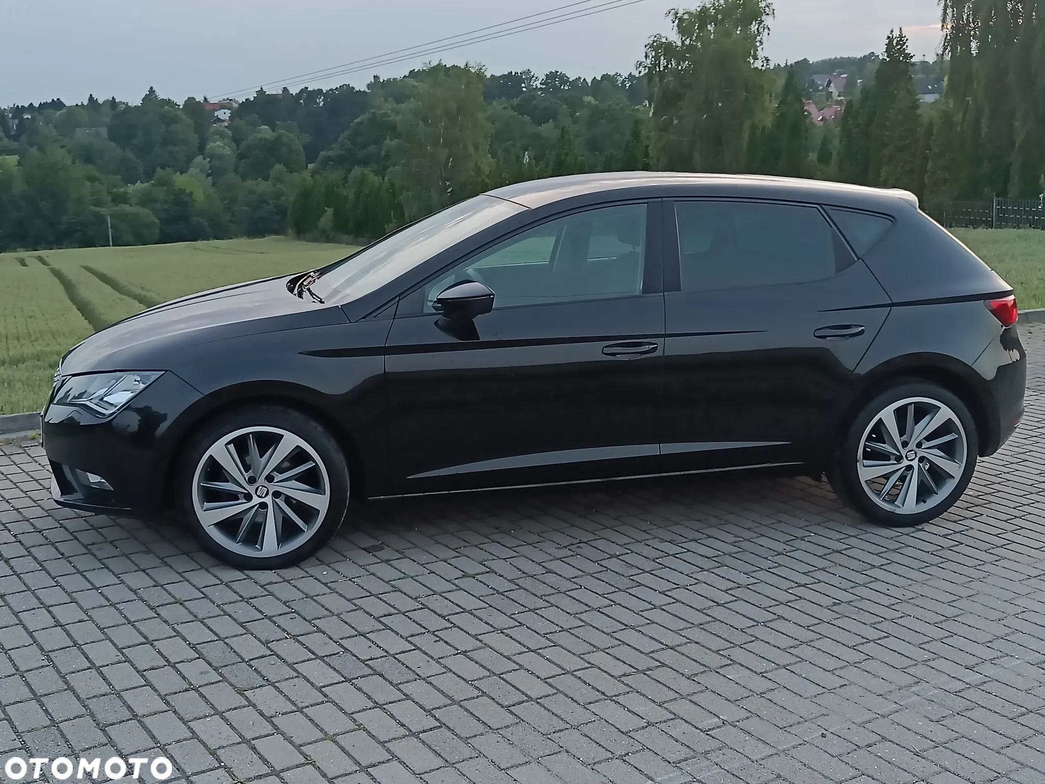 Seat Leon - 35