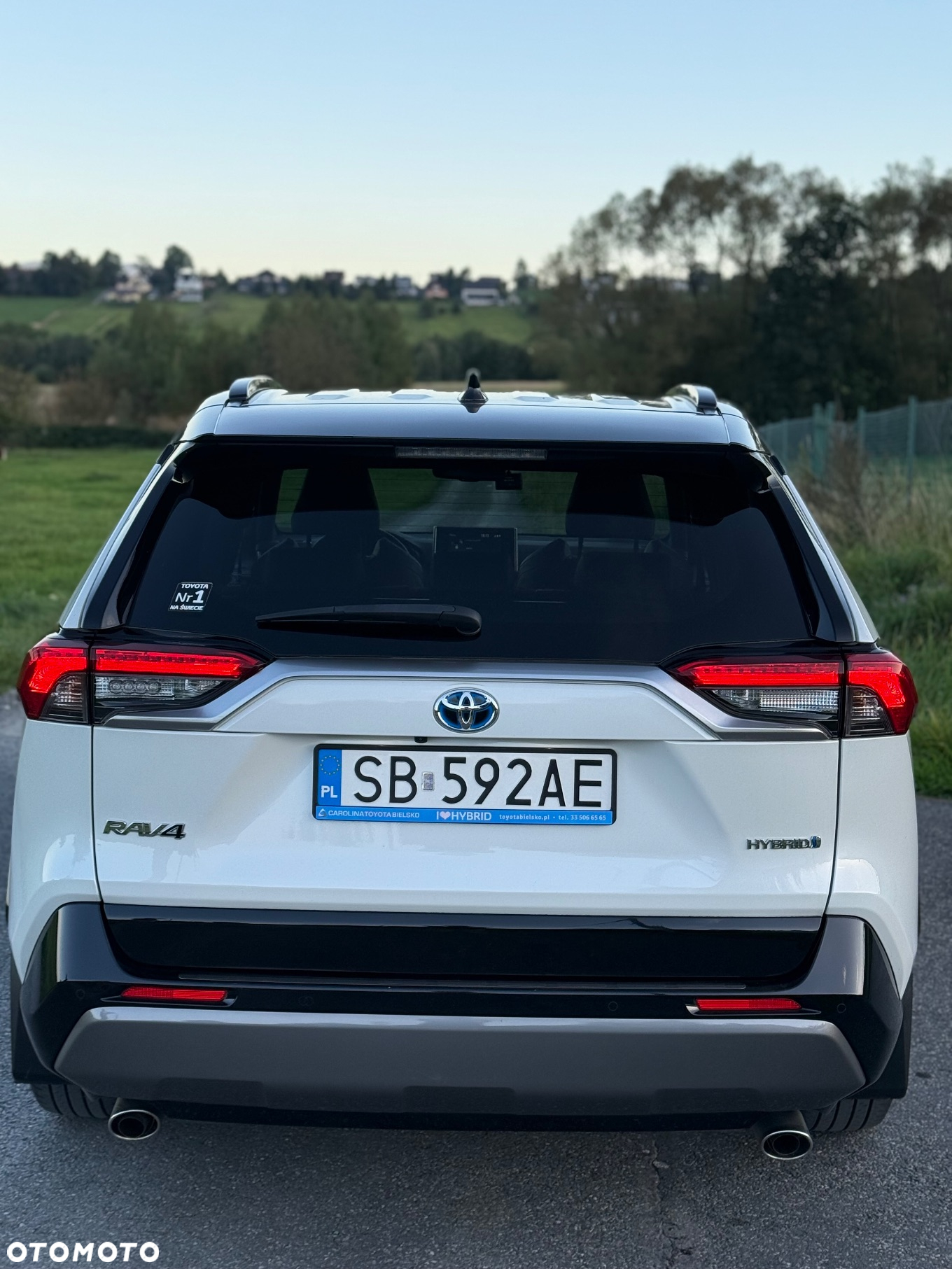 Toyota RAV4 2.5 Hybrid Selection 4x2 - 4