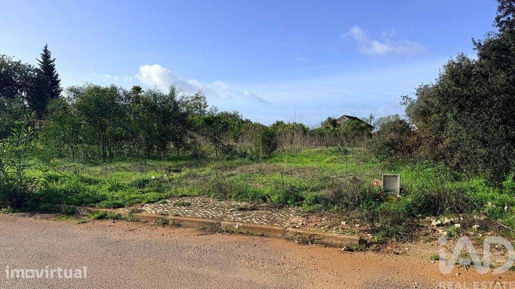 Terreno para construção em Alcantarilha e Pêra - Grande imagem: 2/21