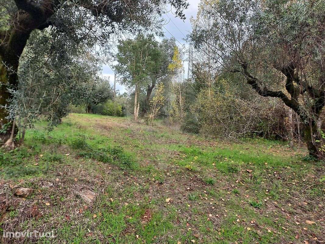 Terreno  para venda - Grande imagem: 2/3